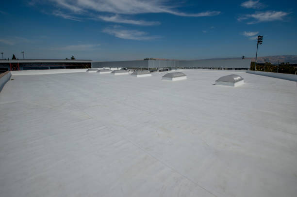 Best Roof Coating Services  in Goliad, TX