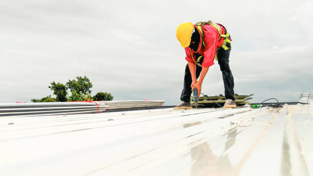 Best Skylight Installation and Repair  in Goliad, TX