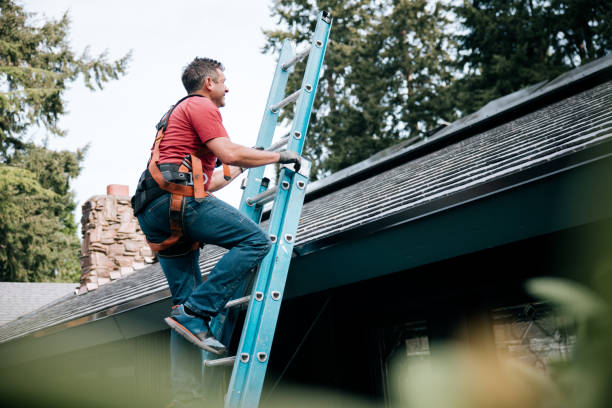Best Roof Moss and Algae Removal  in Goliad, TX