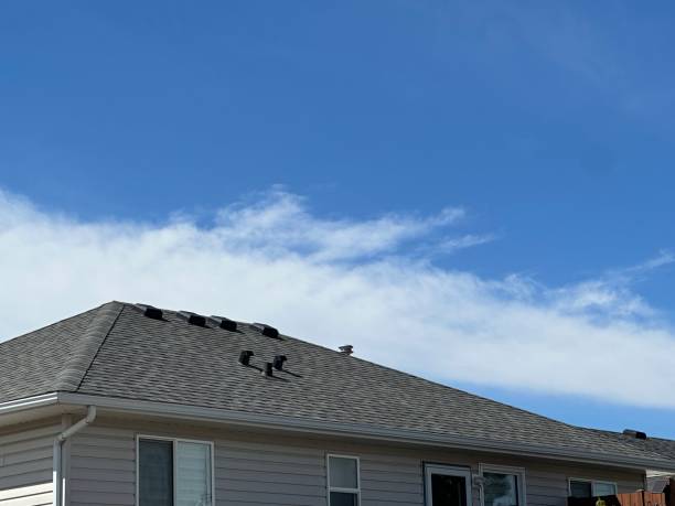 Best Rubber Roofing (EPDM, TPO)  in Goliad, TX